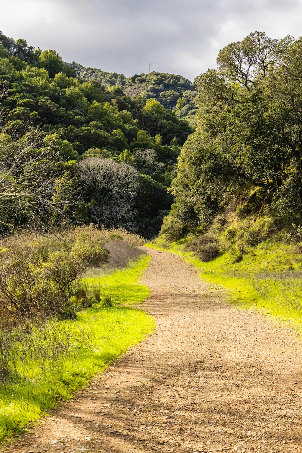 Un camí enmig de la natura per escollir l'itinerari educatiu i professional