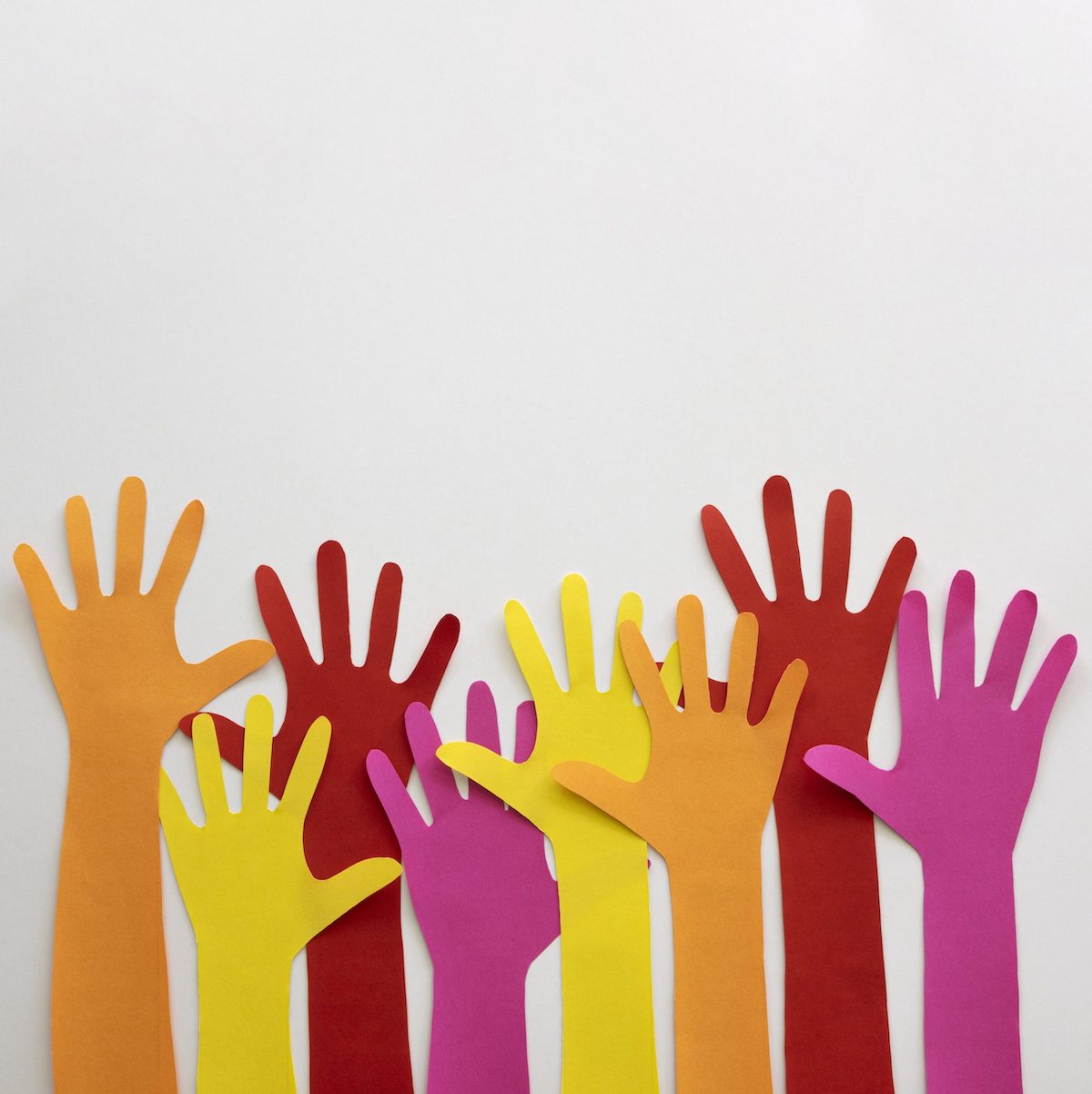 Cal fer referència a la pàgina web de la xarxa de centres educatius de Catalunya que participen com a co-investigadors en aspectes com la salut mental i les malalties infeccioses en l’entorn escolar