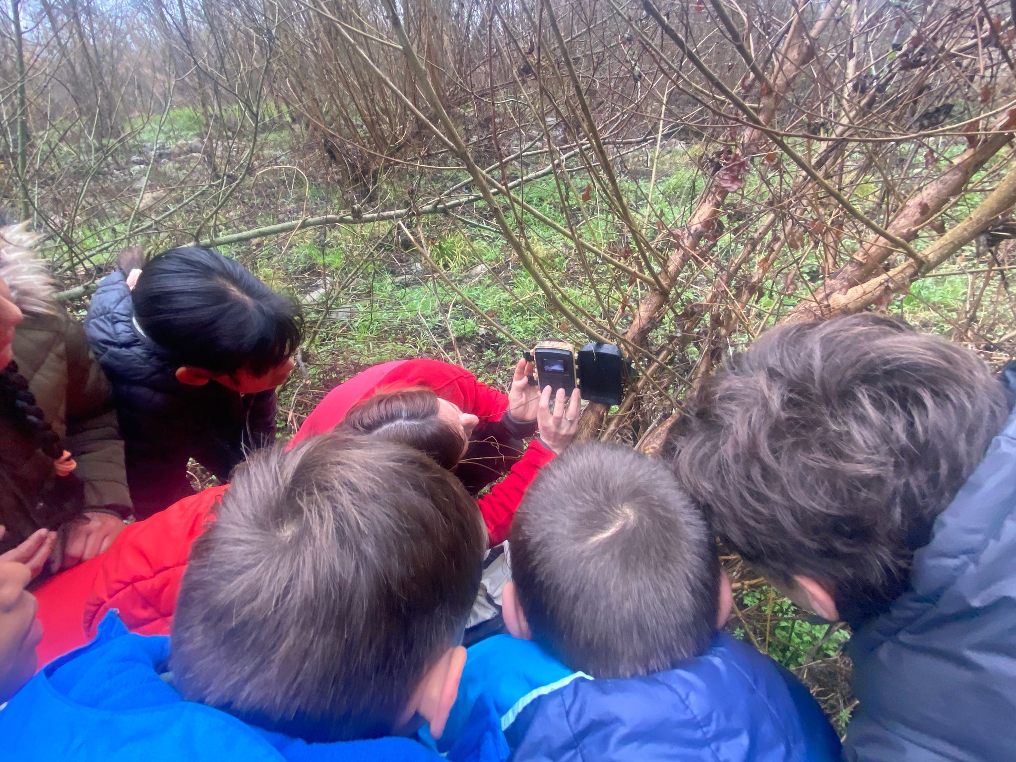 Alumnat de l'IE de Besalú revisant la càmera de fototrampeig