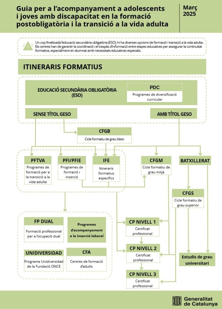 Infografia resum de la guia