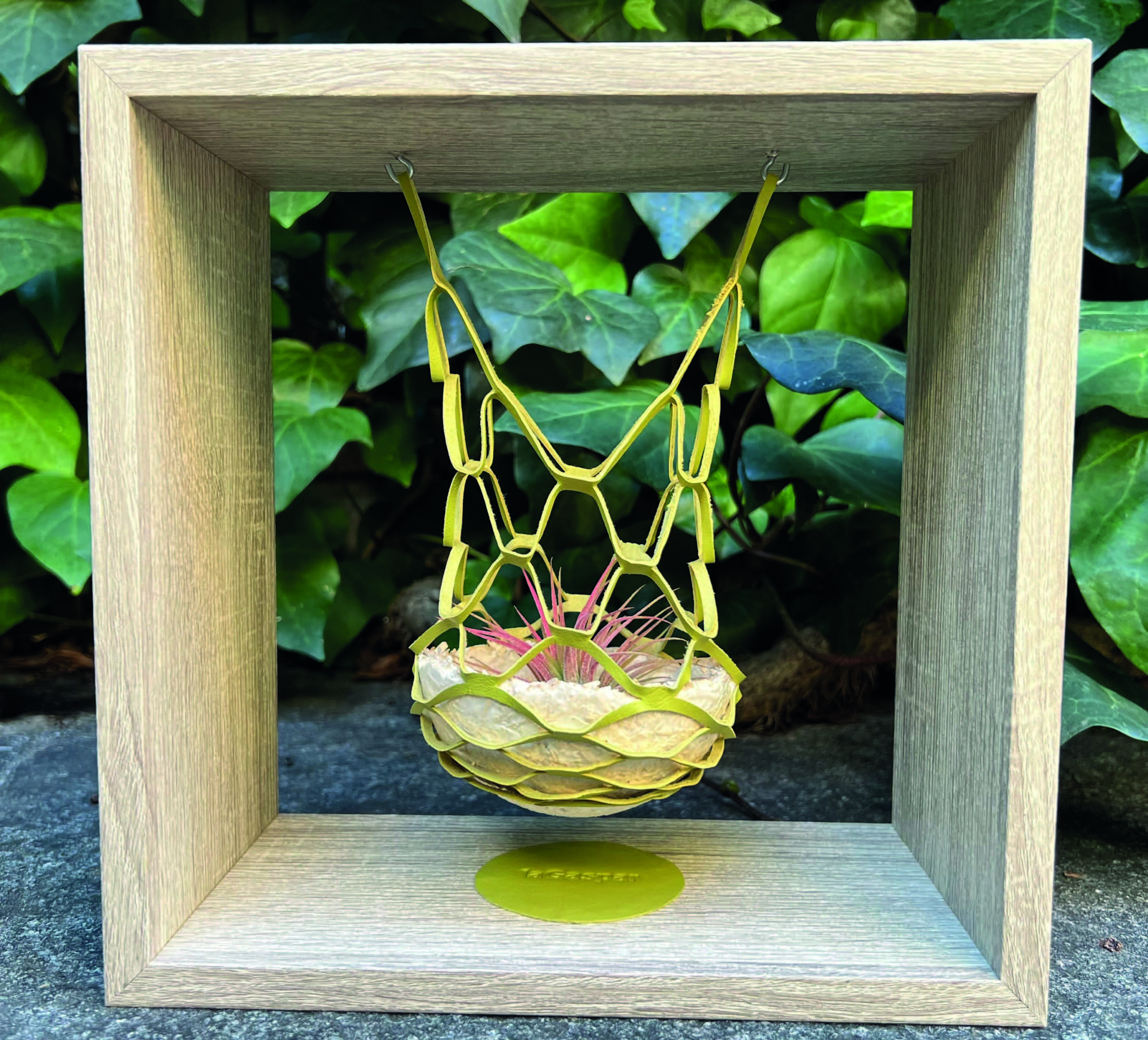 Institut de Recerca Sant Joan de Dé