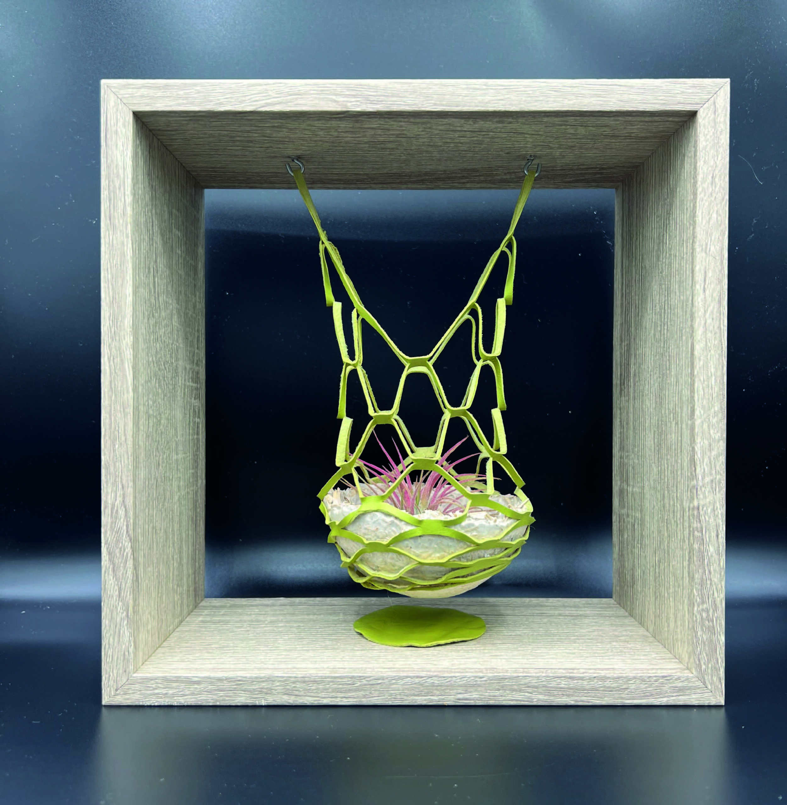 Institut de Recerca Sant Joan de Déu