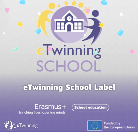 INS Thos i Codina, amb segell d'eTwinning Schools | Servei Educatiu de Mataró