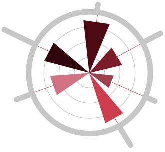 Eina d'Avaluació Dinàmica de les Xarxes