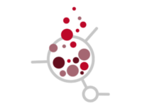 Laboratori de Millora Educativa