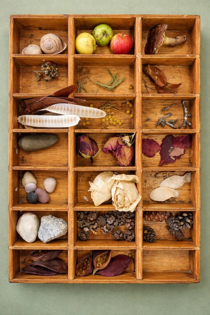 Noves documentacions pedagògiques del 3-6