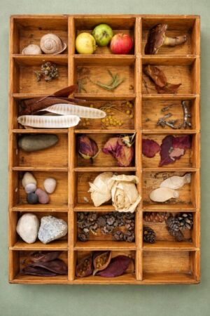 Noves documentacions pedagògiques del 3-6