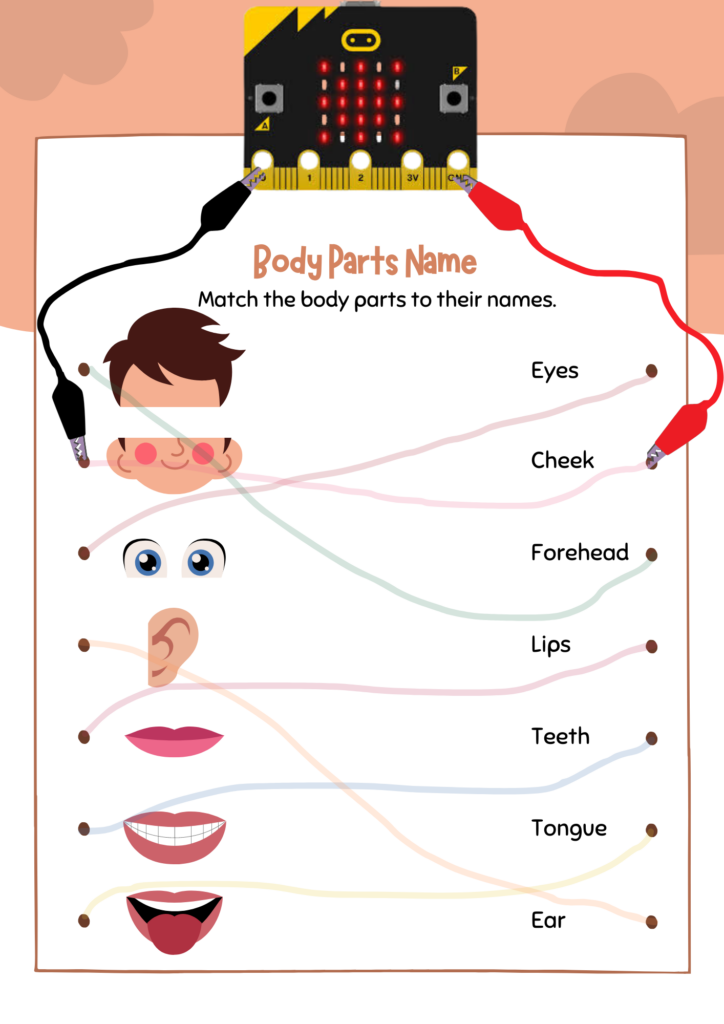 Esquema del muntatge