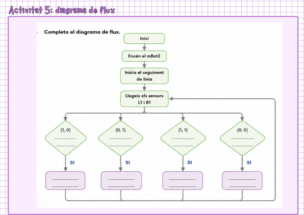Activitat 5