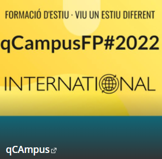 formació estiu