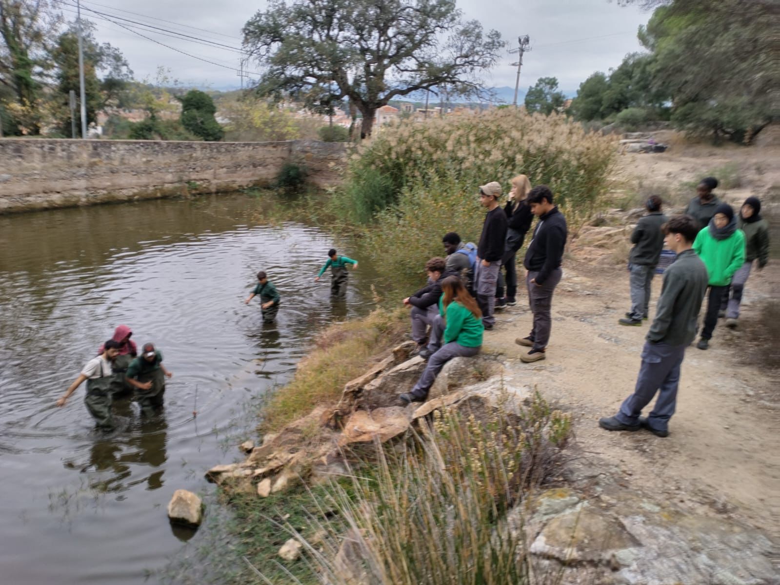 WhatsApp Image 2023-11-30 at 12.25.04(1)