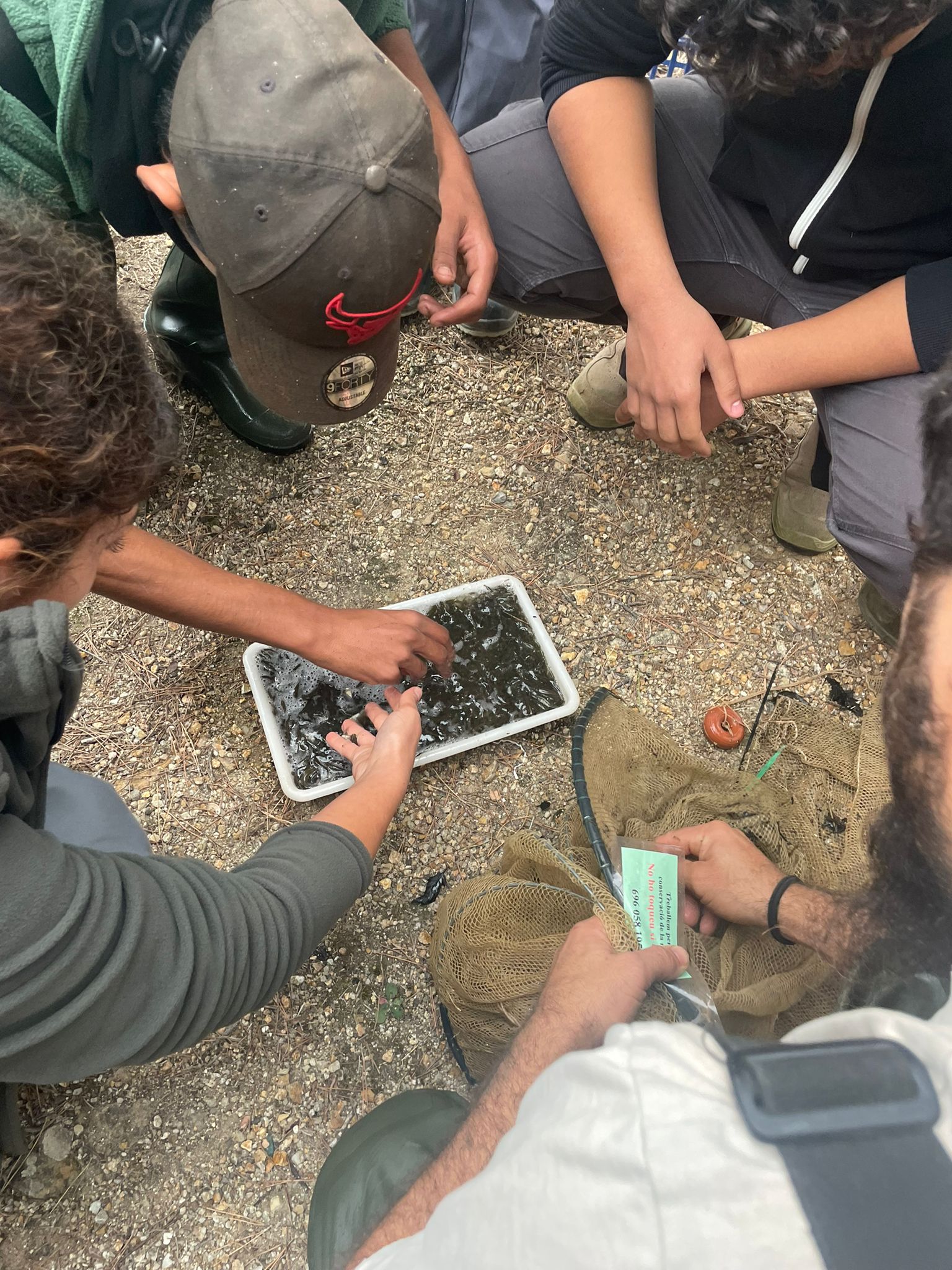 WhatsApp Image 2023-11-30 at 12.26.15(1)