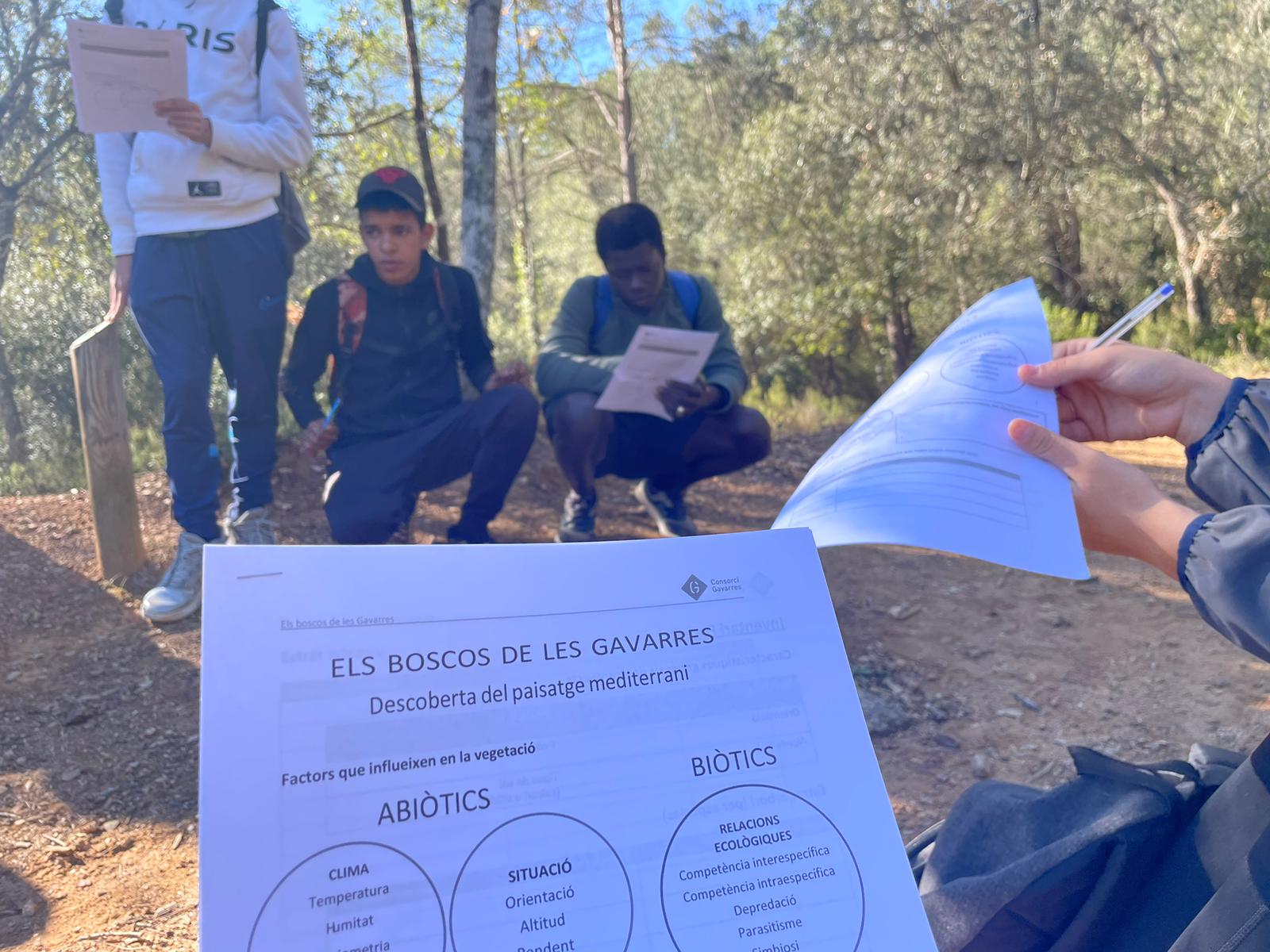 WhatsApp Image 2024-02-22 at 12.21.18