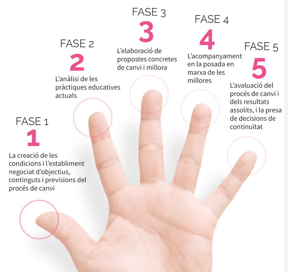 5 fases de l’acompanyament