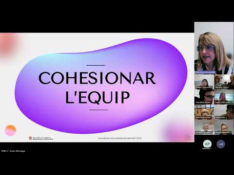 Experiències de transició de SE a SEI