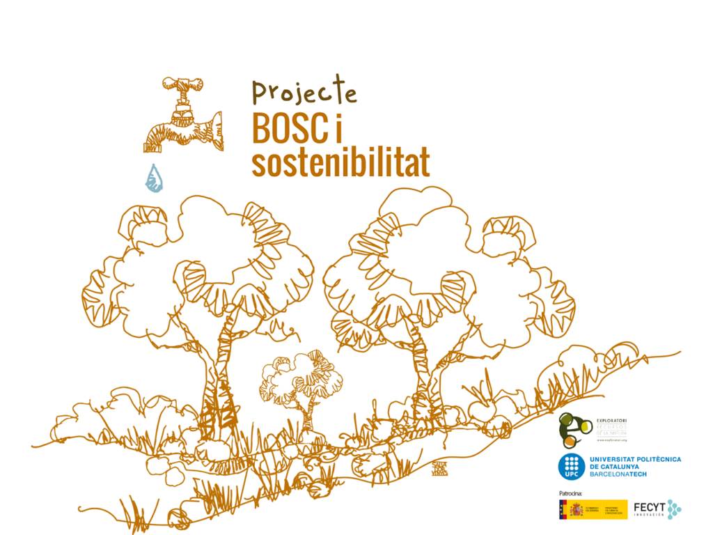 Projecte Bosc i Sostenibilitat