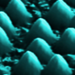 nanoexplorant el futur