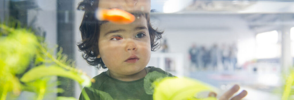 Infant observa amb curiositat