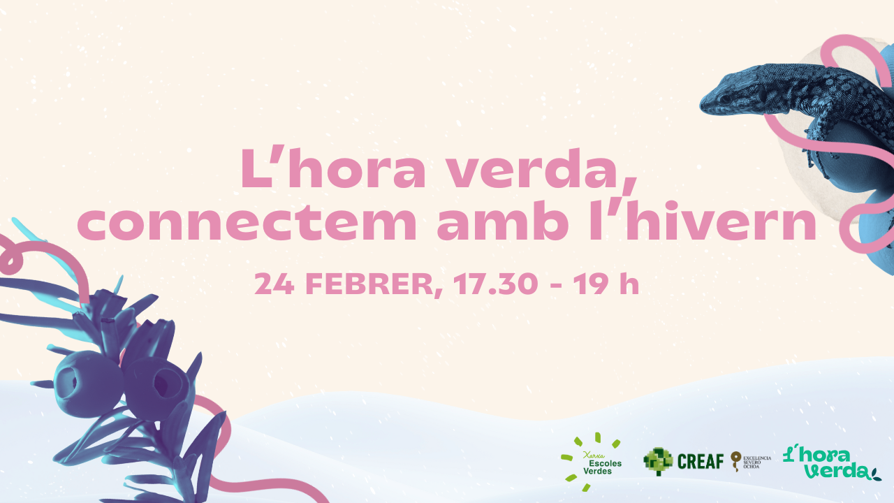 L’Hora Verda, el projecte d’Escoles Verdes i el CREAF per connectar amb la natura i tenir una finestra oberta a la ciència, presenta la segona edició: la ciència de l’hivern!