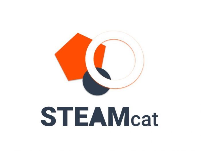 STEAMcat