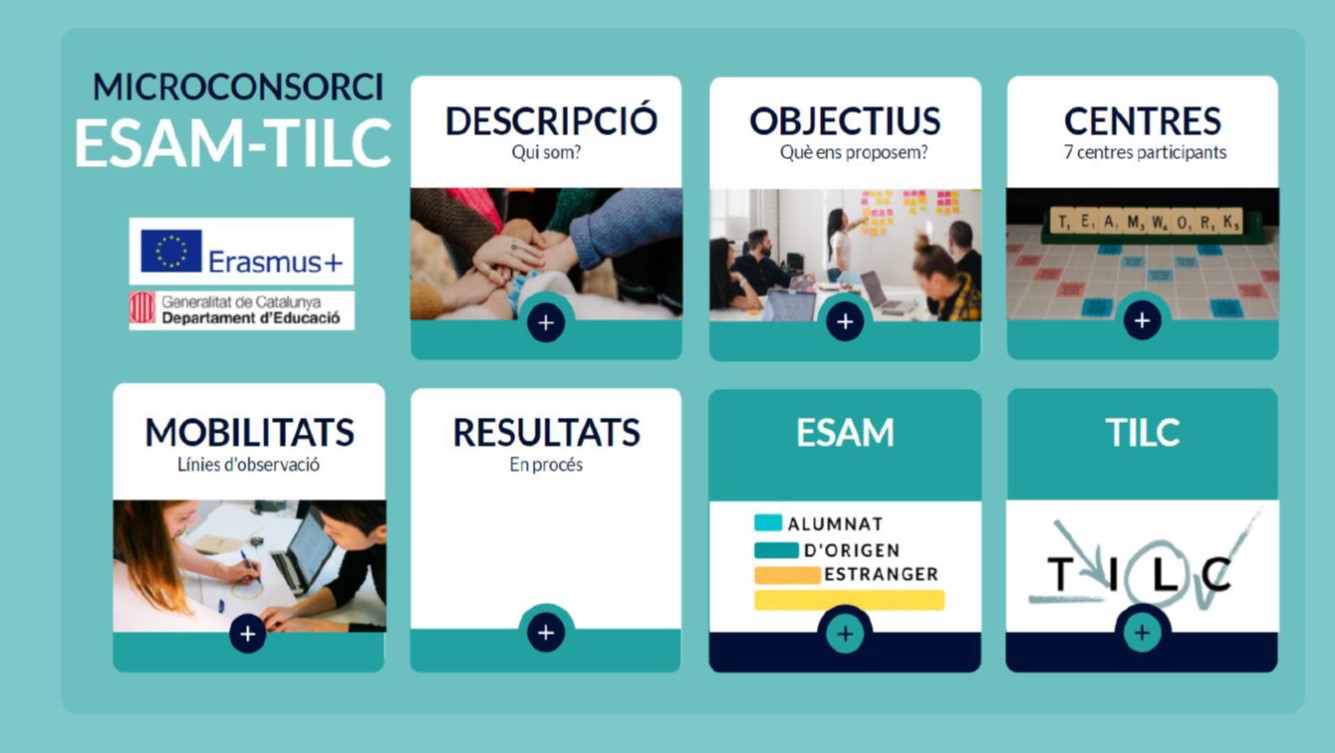 Infografia MCESAMTILC